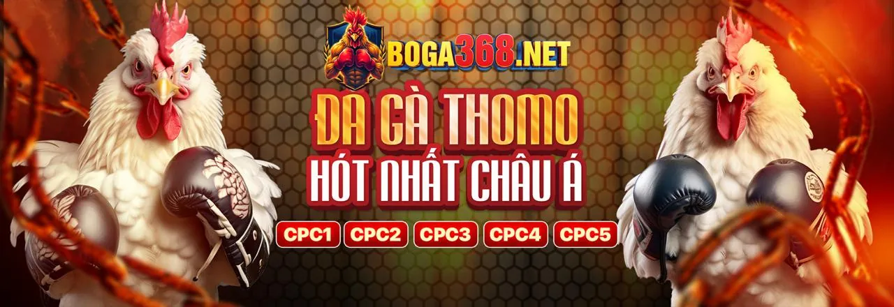Cá cược Thể thao iwinclud